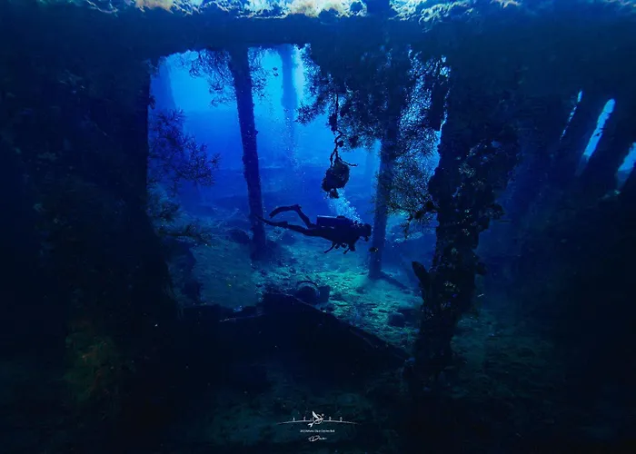 ホテル Dive & Dwell 3*