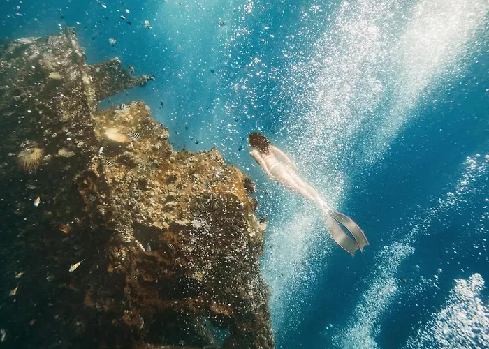 Dive & Dwell